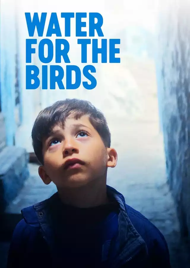 movie vertical poster fallback