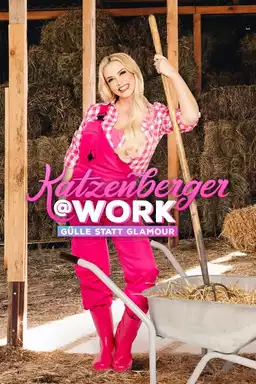 Katzenberger @Work