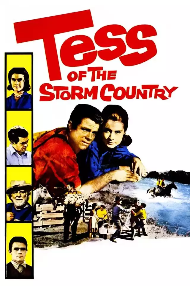 movie vertical poster fallback