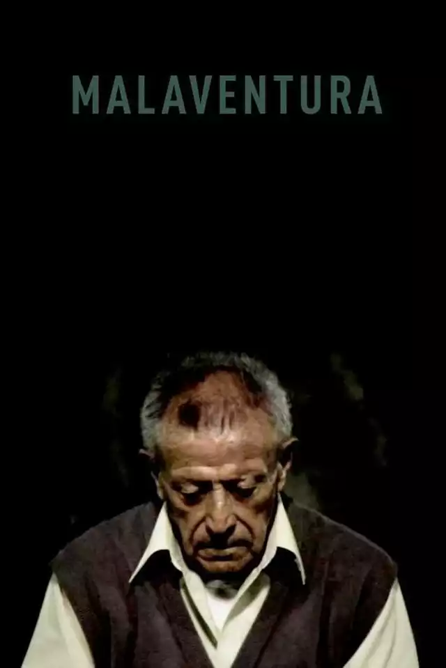 movie vertical poster fallback
