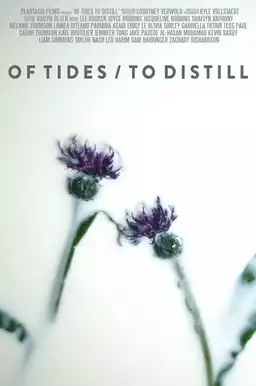 Of Tides/To Distill