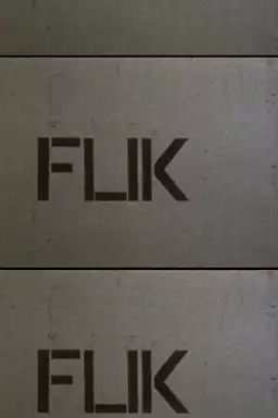 Flik Flak