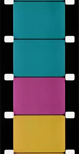 Analytic Studies I: The Film Frame