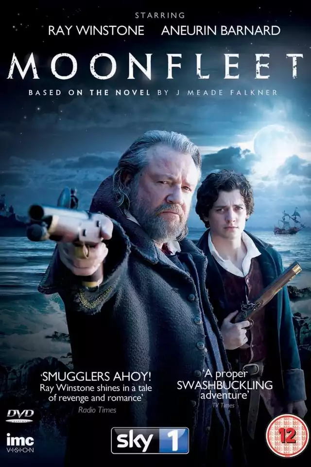 movie vertical poster fallback