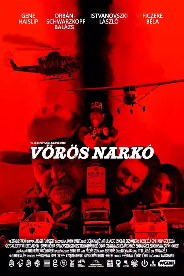 movie vertical poster fallback