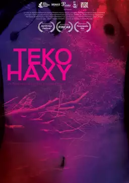 Teko Haxy - ser imperfeita