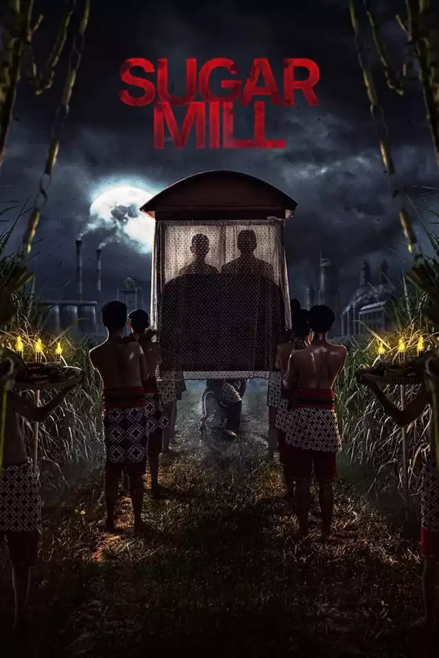 movie vertical poster fallback