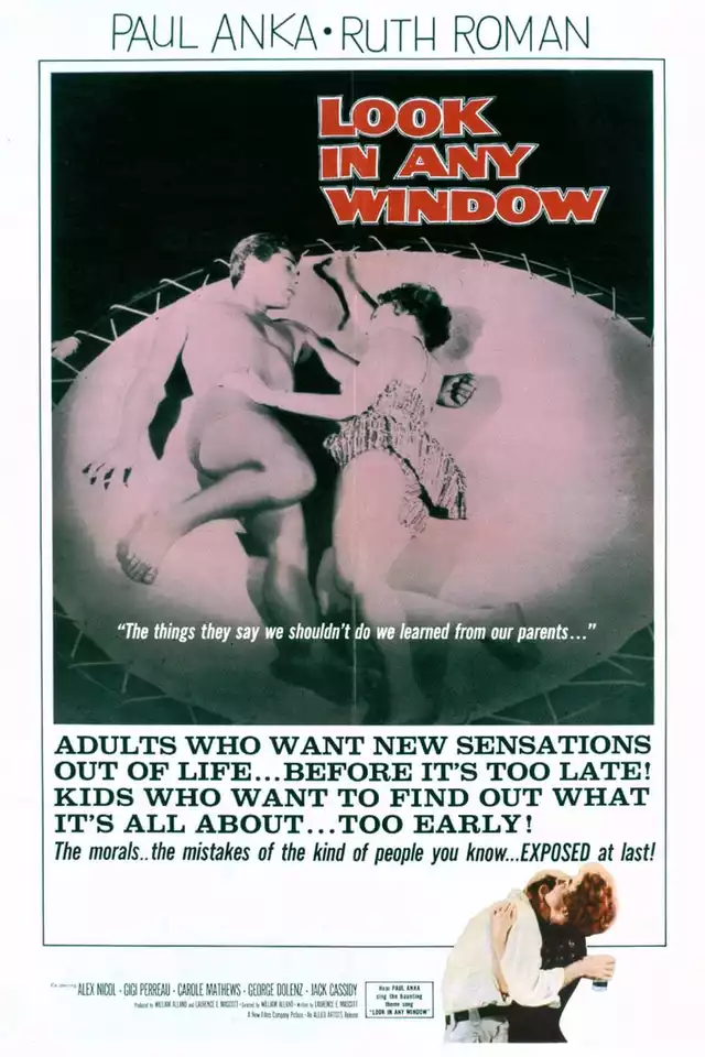 movie vertical poster fallback