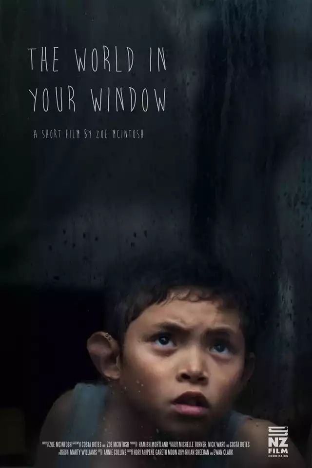 movie vertical poster fallback