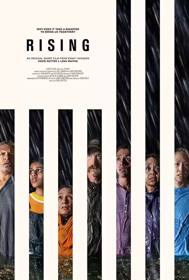 movie vertical poster fallback