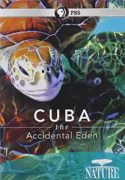 Cuba: The Accidental Eden