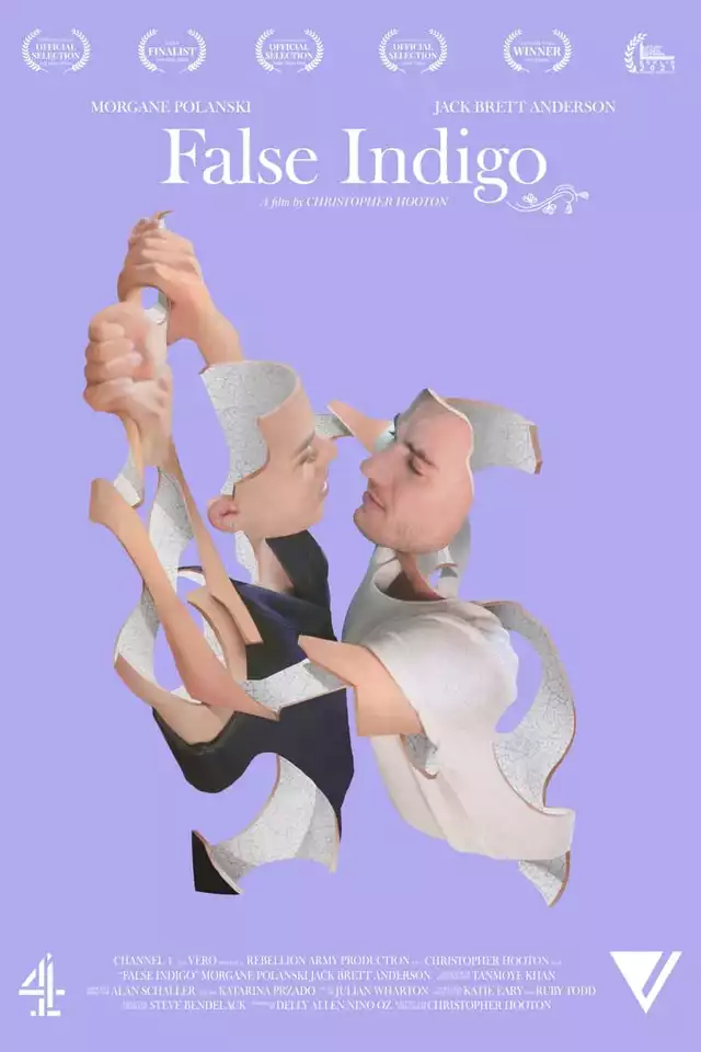 movie vertical poster fallback