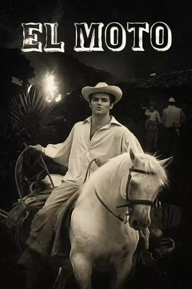 movie vertical poster fallback
