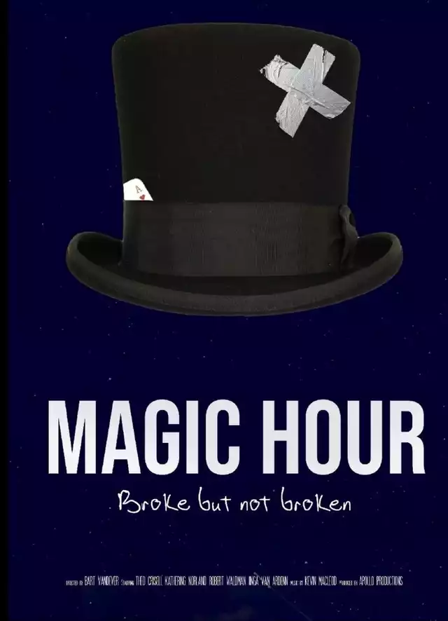 movie vertical poster fallback