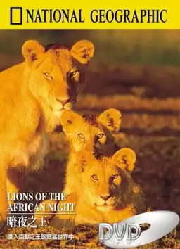 Lions of the African Night