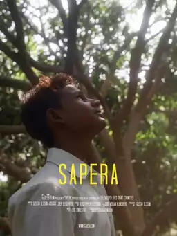 Sapera