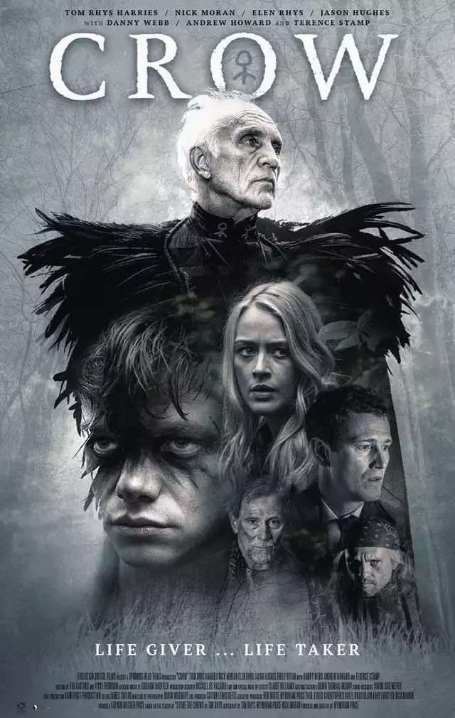 movie vertical poster fallback