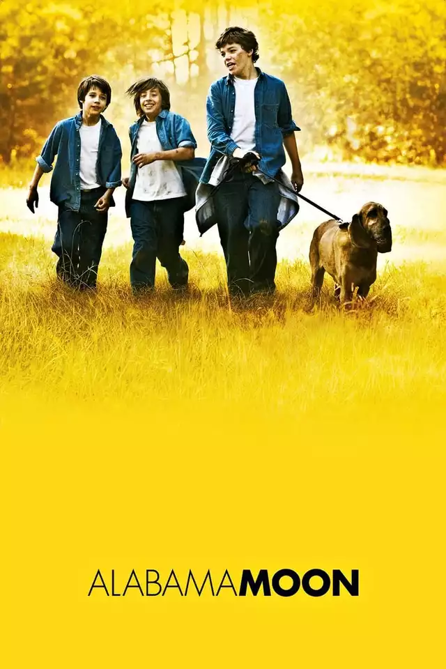 movie vertical poster fallback