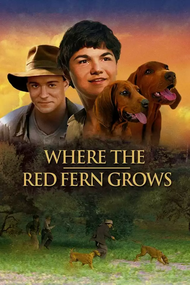 movie vertical poster fallback