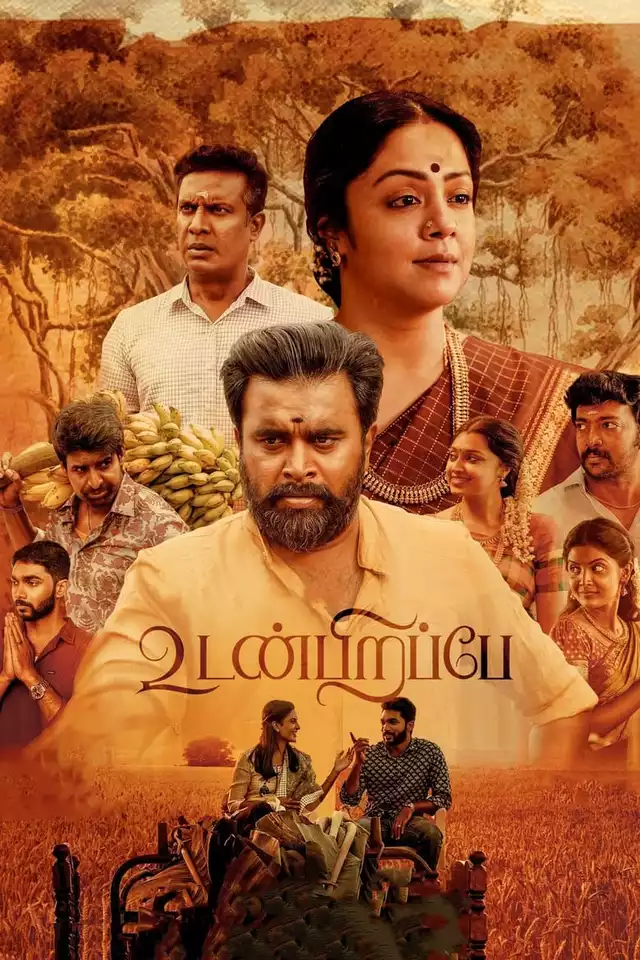 movie vertical poster fallback