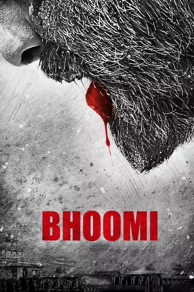 movie vertical poster fallback