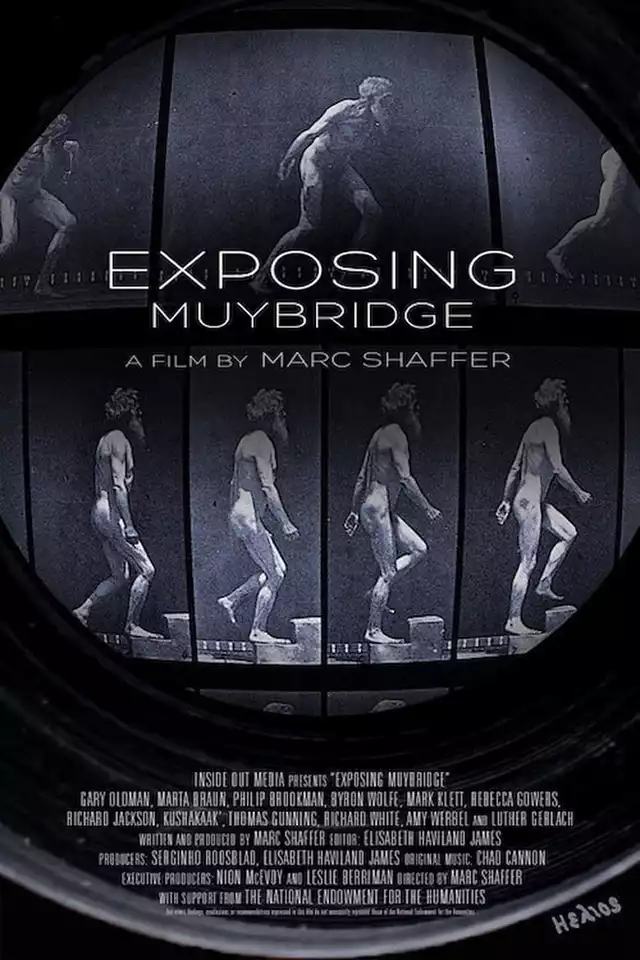 movie vertical poster fallback