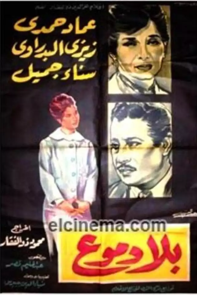 movie vertical poster fallback
