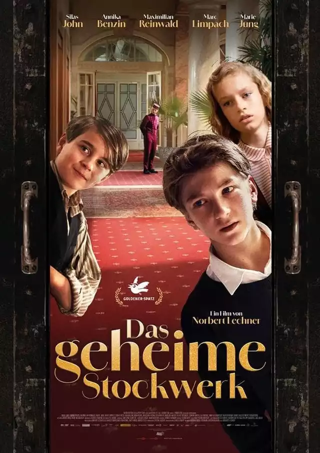movie vertical poster fallback