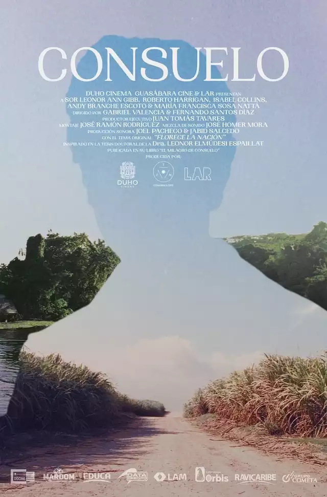 movie vertical poster fallback