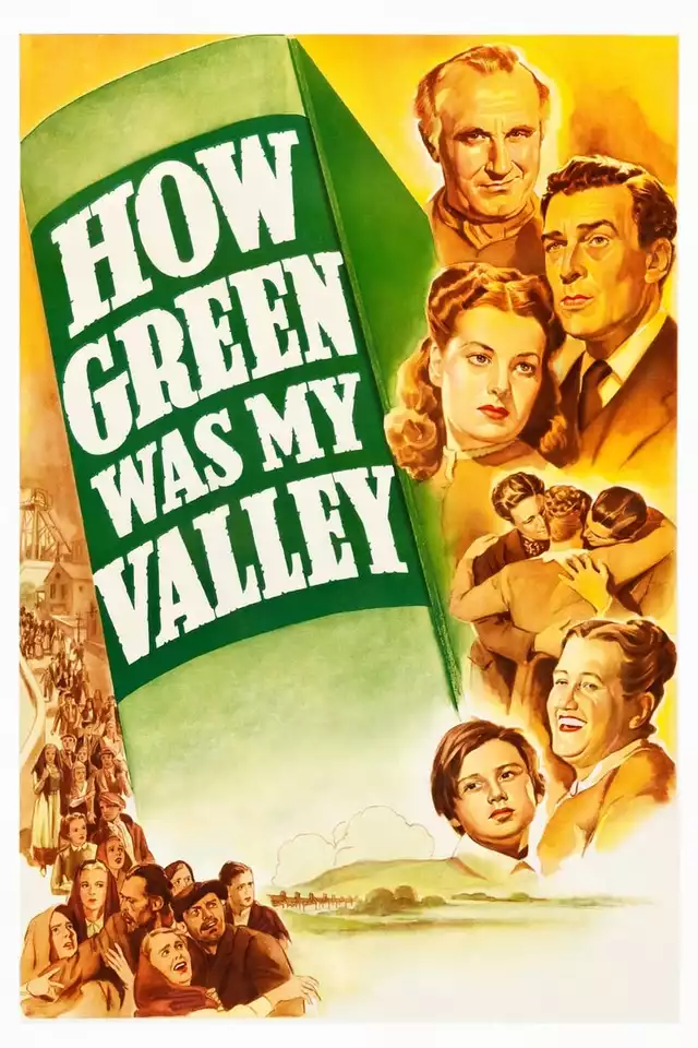 movie vertical poster fallback