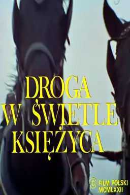 Droga w świetle księżyca