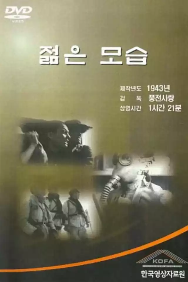 movie vertical poster fallback