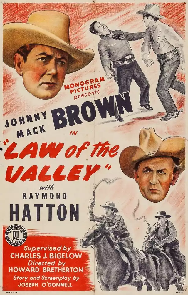 movie vertical poster fallback