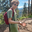 userAvatar 
