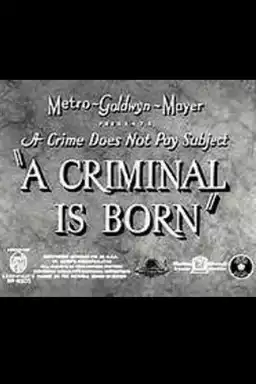 A Criminal is Born