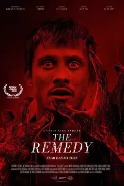 The Remedy