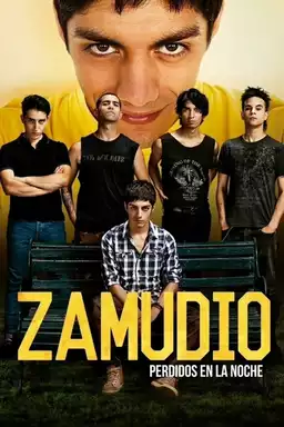 Zamudio: Lost in the Night