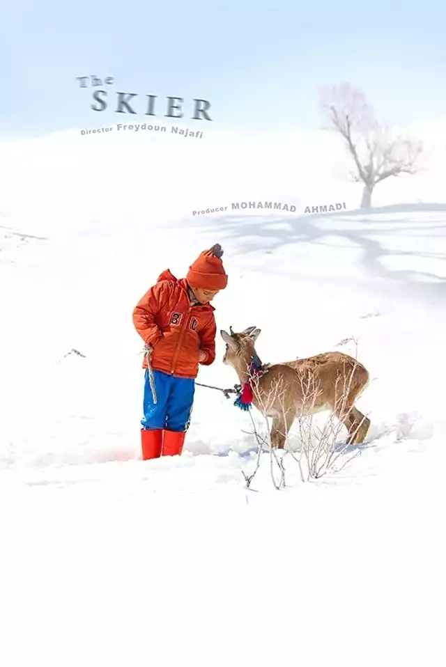 movie vertical poster fallback