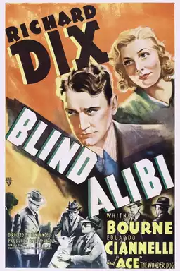 Blind Alibi