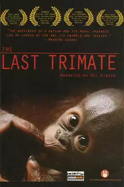 The Last Trimate