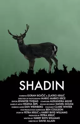 Shadin