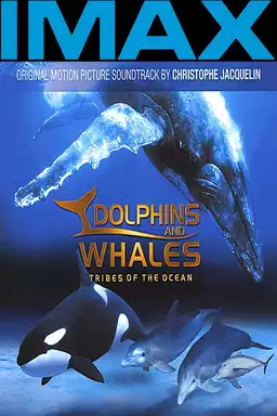 Dolphins and Whales: Tribes of the Ocean
