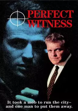 Perfect Witness