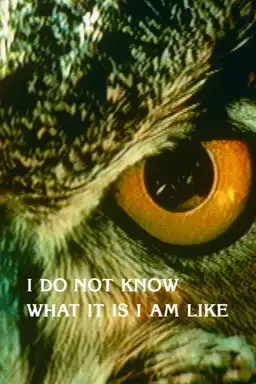 I Do Not Know What It Is I Am Like