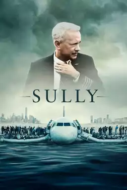 movie Sully: Hazaña en el Hudson