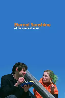 movie Eternal Sunshine of the Spotless Mind