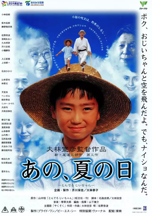 movie vertical poster fallback