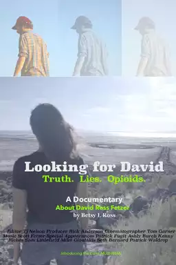 Looking for David