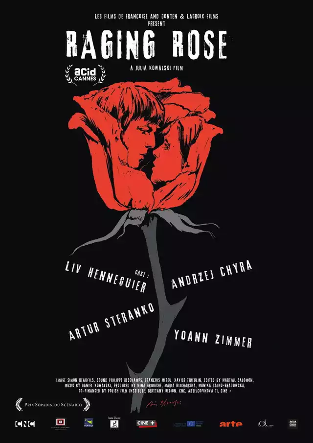 movie vertical poster fallback