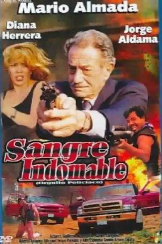 movie vertical poster fallback